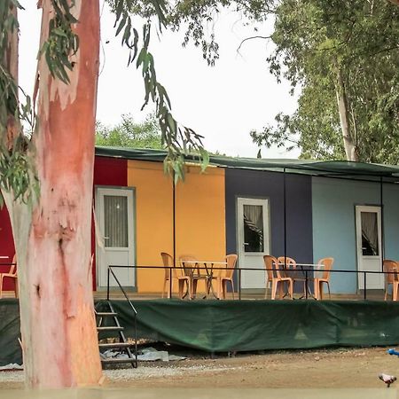 Patara Woody Hostel & Camping Экстерьер фото